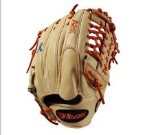 Baseball Gloves-Limited Edition — Baseball 365